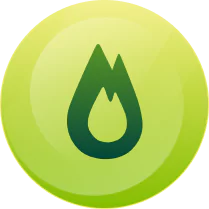 A Green Circular Icon With A Dark Green Flame Symbol In The Center.